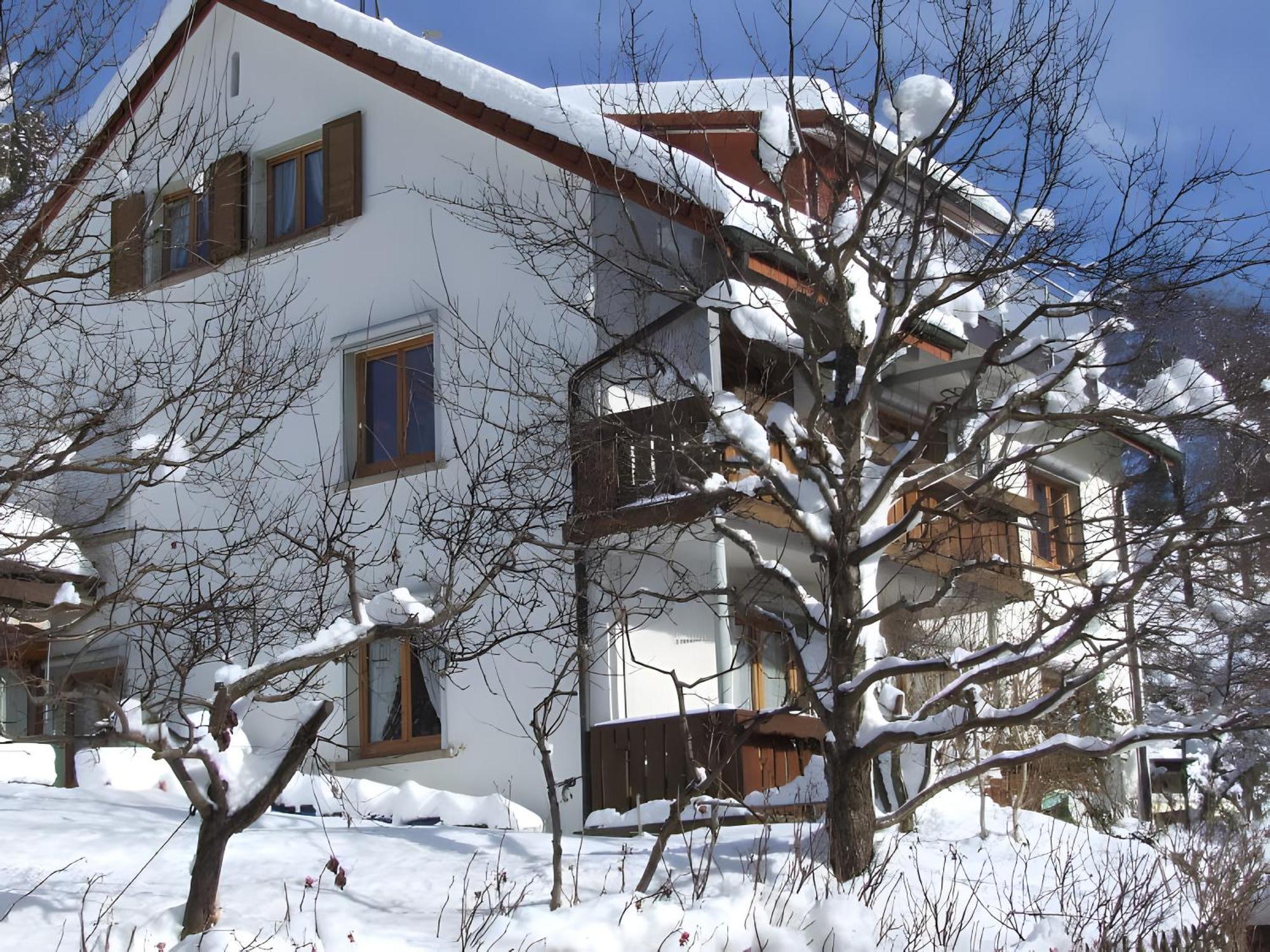 Haus Michler Lägenhet Todtnau Exteriör bild