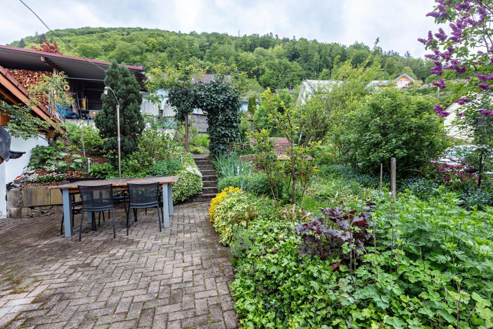 Haus Michler Lägenhet Todtnau Exteriör bild